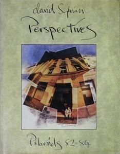 DAVID SYLVIAN（ジャパン） デヴィッド・シルヴィアン／Perspectives Polaroids 82-84 大型写真集（絶版・84年）  - 87.120.9.14