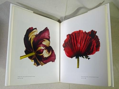 アーヴィングペン still life /写真集 Irving Penn-connectedremag.com