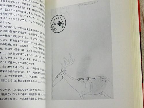 洋書　ヨーゼフ・ボイス ヨーゼフ・ボイス【Drawings】 - 京都にある、美術洋書＆海外