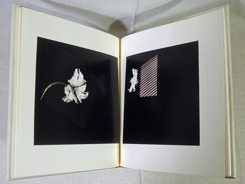 Robert Mapplethorpe: Patti Smith ロバート・メイプルソープ