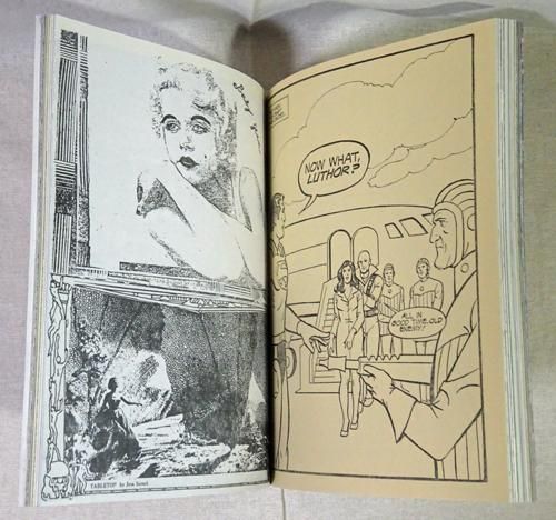 Destroy All Monsters Magazine 1976-1979 - 古本買取販売 Destroy All Monsters Magazine 1976-1979 - 古本買取販売