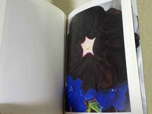 Sachiko Kazama — Art At A Time Like This