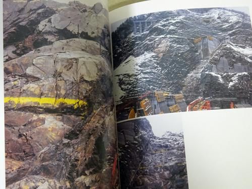 大辻清司の写真 出会いとコラボレーション - 古本買取販売 ハモニカ古