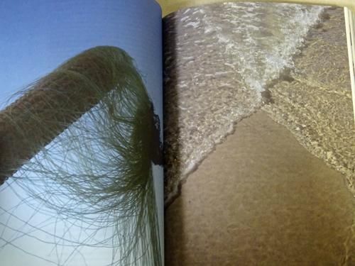 Jahresring 64 What Is Different? Wolfgang Tillmans : What Is