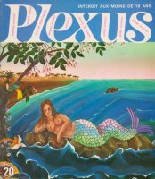 Plexus プレクサス No.20