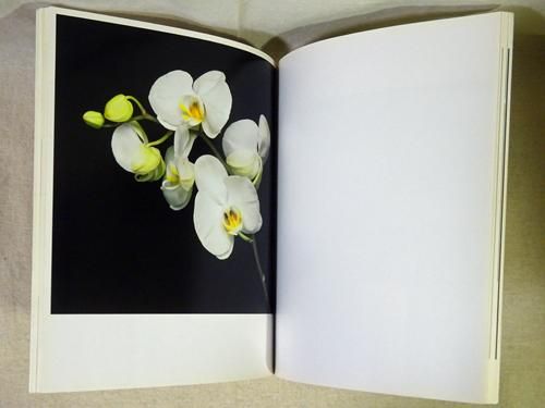 Robert Mapplethorpe Flowers ロバート メイプルソープ 古本買取販売 ハモニカ古書店 建築 美術 写真 デザイン 近代文学 大阪府古書籍商組合加盟店