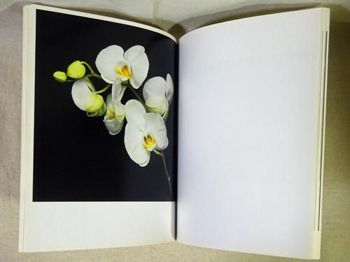 Robert Mapplethorpe: Flowers ロバート・メイプルソープ - 古本買取