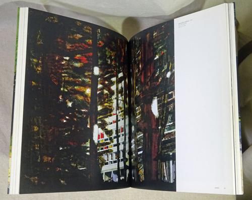 Peter Doig (Phaidon Contemporary Artist Series) ピーター