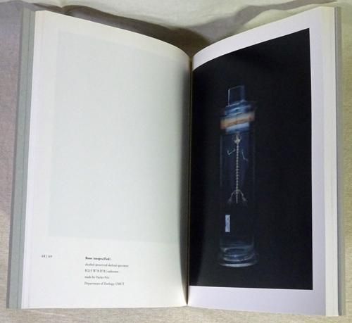 上田義彦「Chamber of Curiosities 」美品 アート・デザイン・音楽