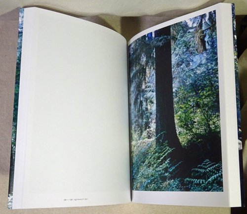 上田義彦写真集 FOREST 印象と記憶 1989-2017 - 古本買取販売 ハモニカ古書店 建築 美術 写真 デザイン 近代文学  大阪府古書籍商組合加盟店