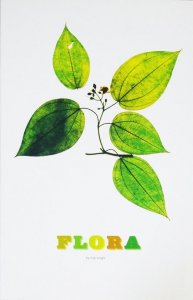 価格は安く 2001年刊 Abrams N. 「Flora」Harry Night Nick ニック 