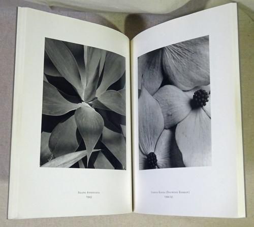 Horst P. Horst ホルスト・P・ホルスト - 古本買取販売 ハモニカ