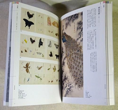 百花繚乱列島 江戸諸国絵師めぐり - 古本買取販売 ハモニカ古書店 建築
