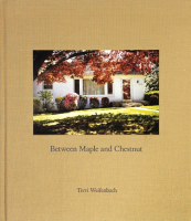 Terri Weifenbach: Between Maple and Chestnut �ƥꡦ�磻�ե���Хå�