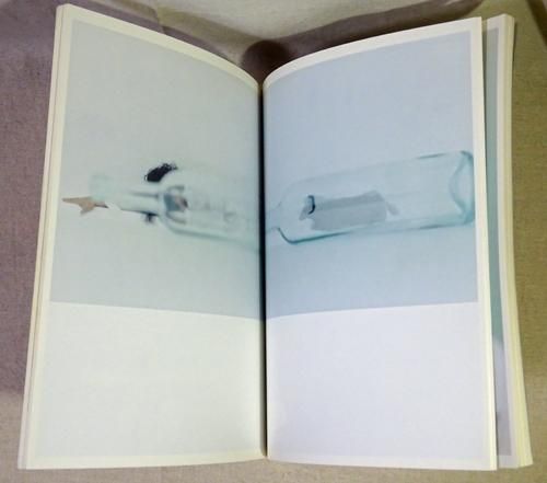 hini&m ヒニスム Vol.4 / 泊昭雄監修 | Natsume Books