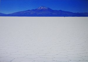 5大陸 Trails Into the Unknown 瀧本幹也 - 古本買取販売 ハモニカ古書店 建築 美術 写真 デザイン 近代文学  大阪府古書籍商組合加盟店