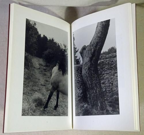 商品検索 - 古本買取販売 ハモニカ古書店 建築 美術 写真