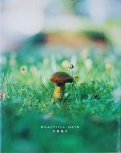 beautiful days 市橋織江 - 古本買取販売 ハモニカ古書店 建築