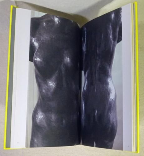 Sophie Calle: Blind ソフィ・カル - 古本買取販売 ハモニカ古