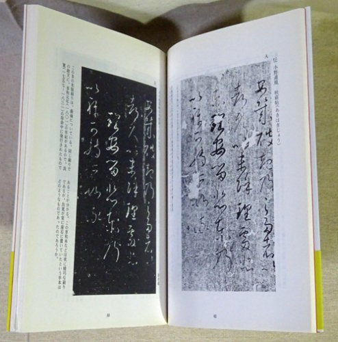 漢字の字体と筆跡鑑定 江守賢治 - 古本買取販売 ハモニカ古書店