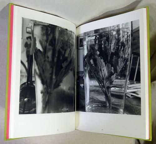 驚きの値段での商品をすべて Lee 古本買取販売 - リー・フリードランダー Stems Friedlander: アート・デザイン・音楽