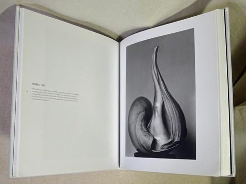 EDWARD WESTON NUDES エドワード・ウエストン ヌード 写真集