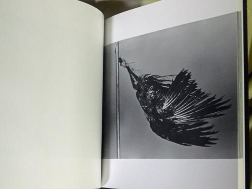 深瀬昌久 鴉 / RAVENS by Masahisa Fukase - 古本買取販売