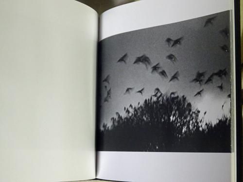深瀬昌久 鴉 / RAVENS by Masahisa Fukase - 古本買取販売