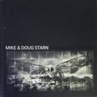 Mike & Doug Starn Attracted To Light マイク＆ダグ・スターン