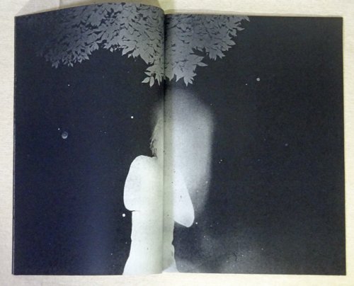 Daisuke Yokota: back yard 横田大輔 - 古本買取販売 ハモニカ古