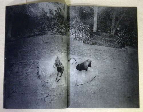 Daisuke Yokota: back yard 横田大輔 - 古本買取販売 ハモニカ古