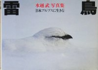 雷鳥　日本アルプスに生きる　水越武写真集