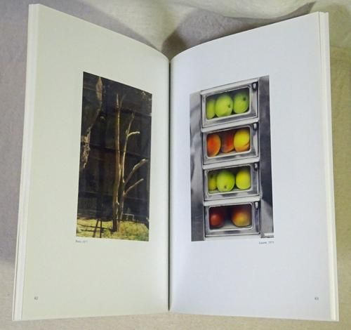 Kodachrome by Luigi Ghirri ルイジ・ギッリ - 古本買取販売 ハモニカ