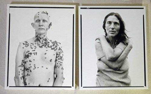 Richard Avedon Portraits リチャード・アヴェドン - 古本買取販売 