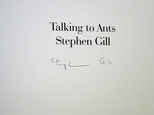 Stephen Gill: Talking to Ants スティーブン・ギル サイン入り - 古本