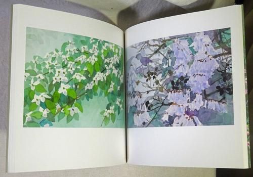 御所の花 安野光雅 - 古本買取販売 ハモニカ古書店 建築 美術