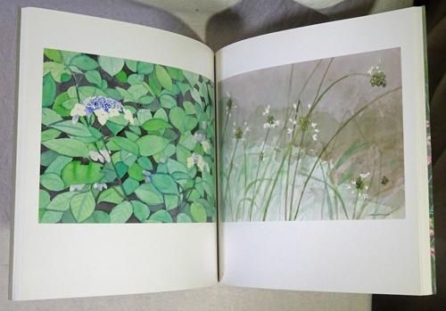 肌触りがいい 御所の花 安野光雅 美術 建築 ハモニカ古書店 古本買取販売 - 食用花