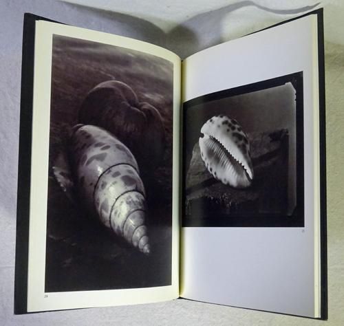 ヨゼフ・スデック Josef Sudek Still Lifes JOSEF SUDEK Still Lifes | タイムカプセル