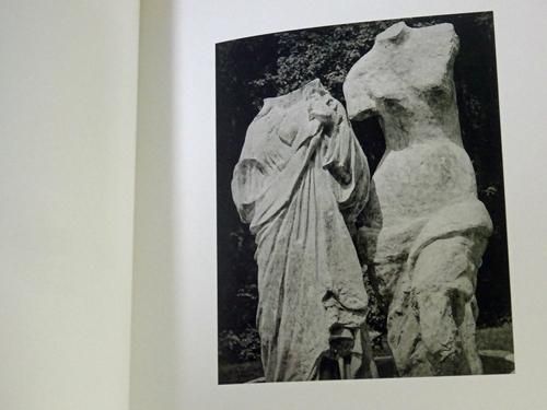 Jim Dine: Photographs ジム・ダイン - 古本買取販売 ハモニカ古