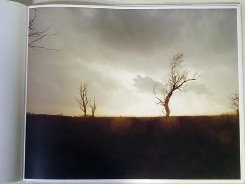 Todd Hido: A Road Divided トッド・ハイド - 古本買取販売 Todd Hido: A Road Divided トッド・ハイド - 古本買取販売
