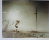 <img class='new_mark_img1' src='https://img.shop-pro.jp/img/new/icons50.gif' style='border:none;display:inline;margin:0px;padding:0px;width:auto;' />Todd Hido: A Road Divided ȥåɡϥ