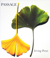 Irving Penn: Passage a work record 󥰡ڥ