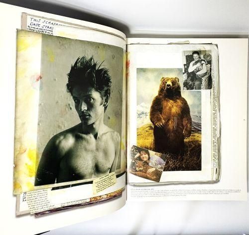 Tim Walker: Pictures ティム・ウォーカー - 古本買取販売 ハモニカ古