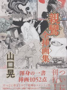 山口晃 親鸞 全挿画集 サイン入り - 古本買取販売 ハモニカ古書店 建築