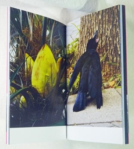 ブエノス アイレス / Buenos Aires - 森山 大道 / Daido Moriyama
