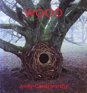 Wood by Andy Goldsworthy アンディ・ゴールズワージー - 古本買取販売