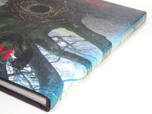 現代美術作品集 - 古本買取販売 ハモニカ古書店 建築 美術 写真