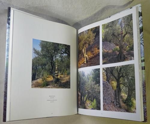 Wood by Andy Goldsworthy ǥ륺β