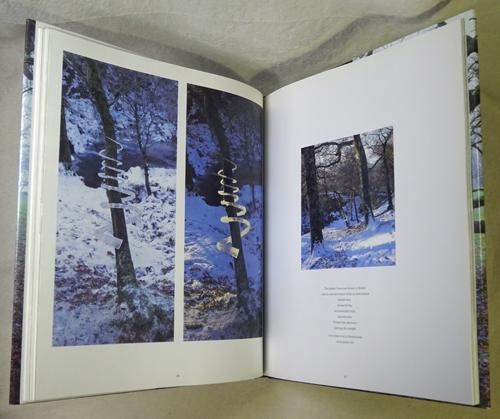 WOOD Andy Goldsworthy/アンディ・ゴールズワージー 作品集 アンディー・ゴールズワージー 作品集「Wood」Andy Goldsworthy