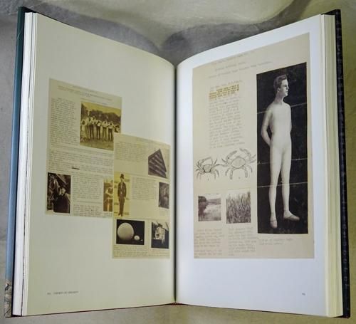 Joseph Cornell: Navigating the Imagination ジョゼフ・コーネル